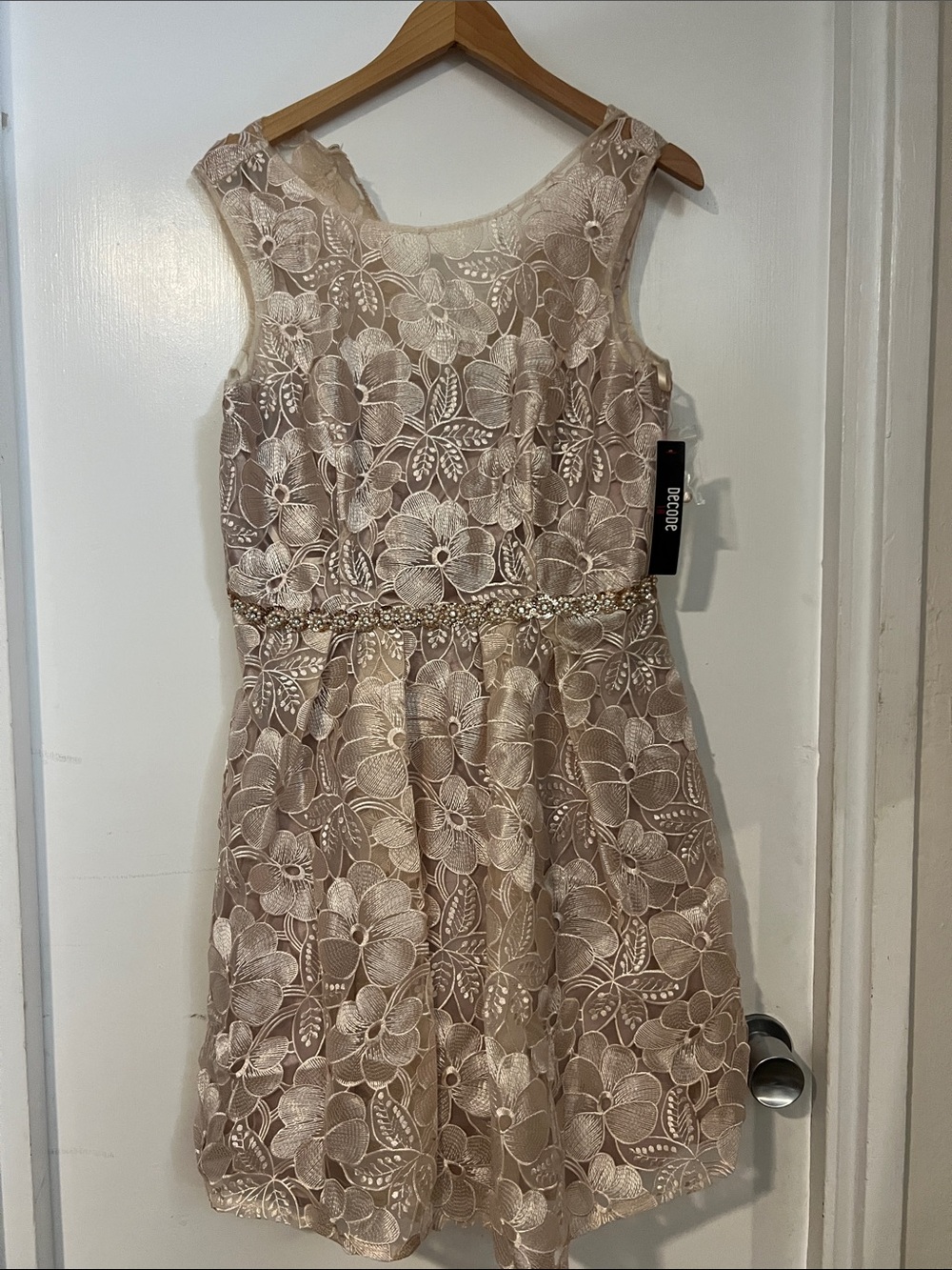 Decode 1.8 Blush Floral Lace Party Dress with Beaded Waist